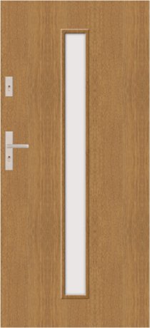G S03 - modern glazed external door