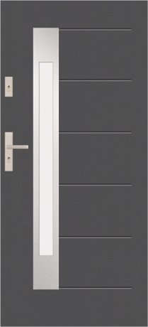 T60 S33 - modern glazed external door