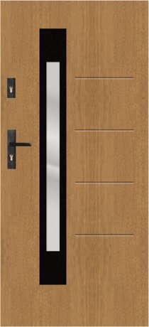 T62 - modern glazed external door