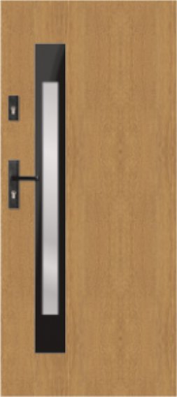Drzwi zewnętrzne przeszklone nowoczesne GS81 Winchester - Stalprodukt-Zamość