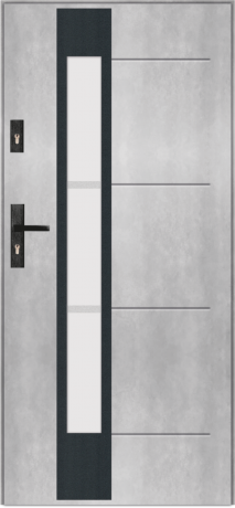 T53 - modern glazed external door