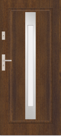 T21 - modern glazed external door