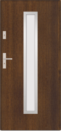 G - modern glazed external door