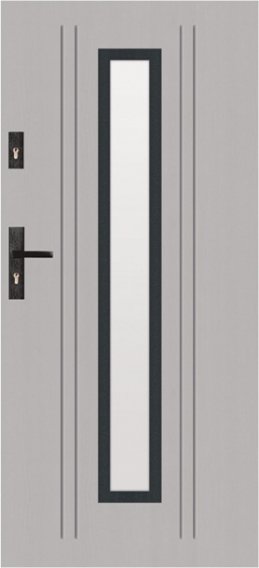 T49 - drzwi zewnętrzne przeszklone nowoczesne, przeszklenie S34
