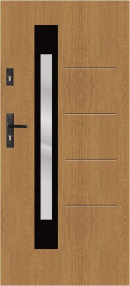T62 - modern glazed external door, S53  glazing