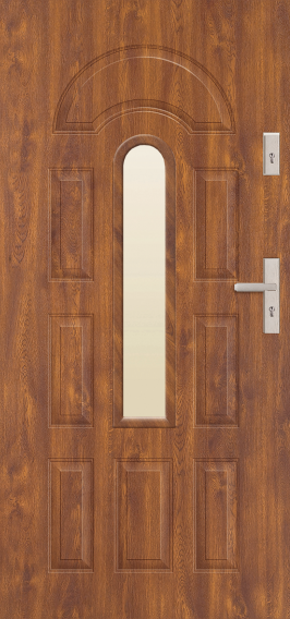 T20 - drzwi zewnętrzne przeszklone klasyczne, przeszklenie S16